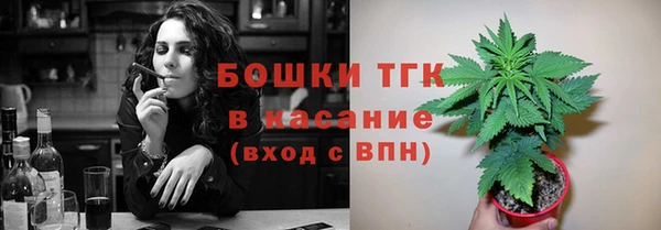 сатива Абинск
