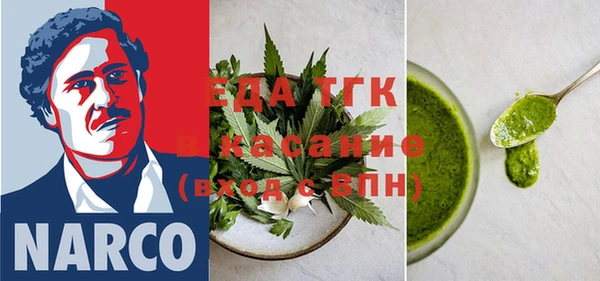 тгк Абаза