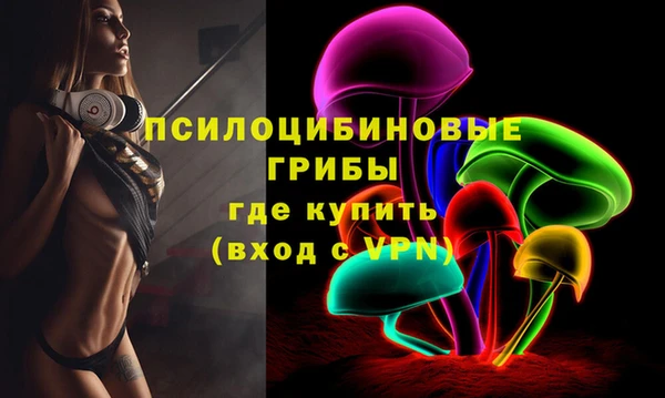 тгк Абаза